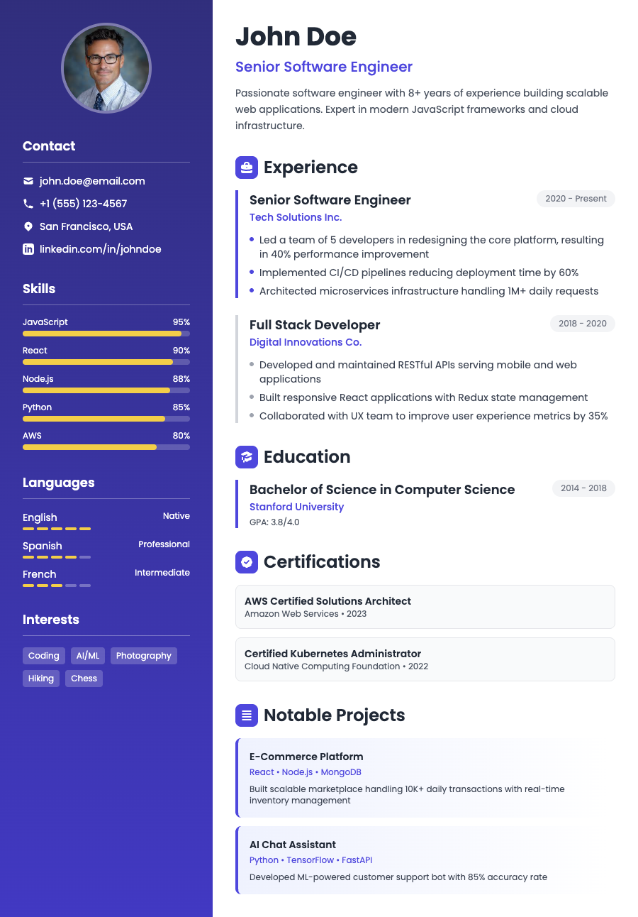 Professional CV Template Preview